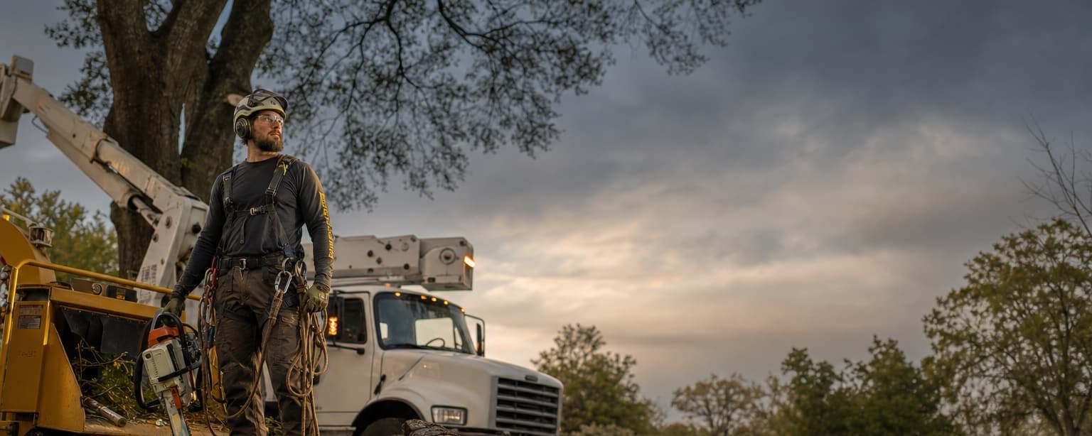 An arborist in a climbing saddle and helmet standing beside a wood chipper and a bucket truck at dusk, a partly limbed tree overhead and cut rounds lying on the lawn